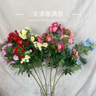 ���滨��֦5�溣�Ļ��ҾӔ[�� ���ձ����� ���Ļ� ���滨