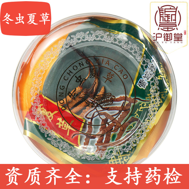 西藏那曲冬虫夏草批发2022新鲜冬虫夏草青海玉树新鲜虫草产地