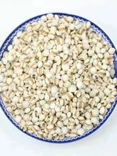 ��޲�����F��޲����ζ������s�Z�M�ϼ������l�����С���t��