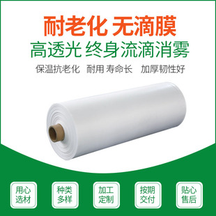 Thickened Transparent Plastic Cloth Waterproof and Moisture-Proof Covering Plastic Film Pe Film Dust-Proof Cutting and Customization Factory Delivery