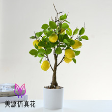 ���ʘ�ߙn����ˮ�����Կ͏d�[�ű��W�L���컨�Gֲ�_�I�b�����