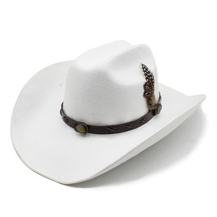 �羳��ë�غڰ�ɫ9.5cm�ذ�߅�Yñ��ë����ţ��ñ�T�Rñ��Ů���e