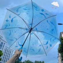 时尚水族馆联名透明雨伞坚固抗风轻量高颜值小巧便携折叠水母伞女