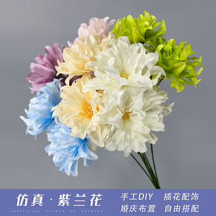 ��c����3�^���m����c���žƵ�·���廨�b��^���滨�S�����l