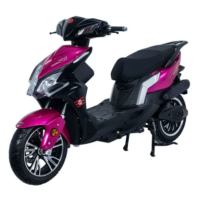Vehicle Foreign Trade, Elektrikli motosikletlər