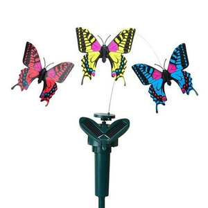Солнечное симуляционное вращение