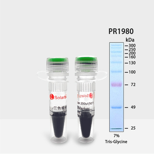 PR1980 三色预染蛋白Marker（25-300 KDa）已预混loading buffer