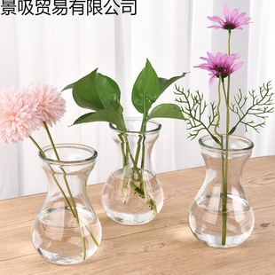 �L����ˮ��ƿ���s��������G�}ˮ�ɻ�ֲ�ﻨ��[���͏d�廨ƿ