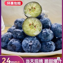 ����{ݮ�r�������ش�5��Y�Ю������rˮ��L25��S��ɽ�a��ֱ�l