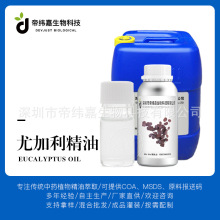 �ȼ������� �{���� ���s��ȡ�η����� �۾��ΏS�ҹ�������ă�