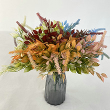 ����С��·߅��β�ݷ���ֲ��Ҿ��bپGֲ�zӰ�Ĕz���߷��滨