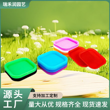 �����бP9cm���������бP����ֲ�ﻨ�P�����бP��ˮ�P�ױP����