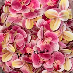 結婚式のシミュレーション花の胡蝶蘭の花の頭のお土産の精巧なフィルムの風呂敷の結婚祝いの装飾の琥珀の薄い紅梅
