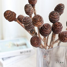 非洲螺旋果进口干花感真花永生花民宿样板间装饰摆件花蜂巢果