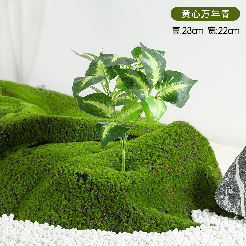 Simulación de plantación y paisajismo verde, materiales de distribución pequeños de todo uso, materiales auxiliares, arreglos florales, helechos, césped falso, decoración de plantas pequeñas, decoración de paisaje image 24