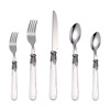 High-end spoon stainless steel, retro tableware, set, acrylic handle, European style, Birthday gift