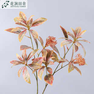 ������� �R���~���� ������~�zӰ���߱��W�Ҿ�ܛ�b���̼٘��b�