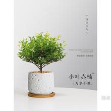 С�~������Խ�z�ľ�͏d�������ֲ���k���҃�������B�Gֲ�辰