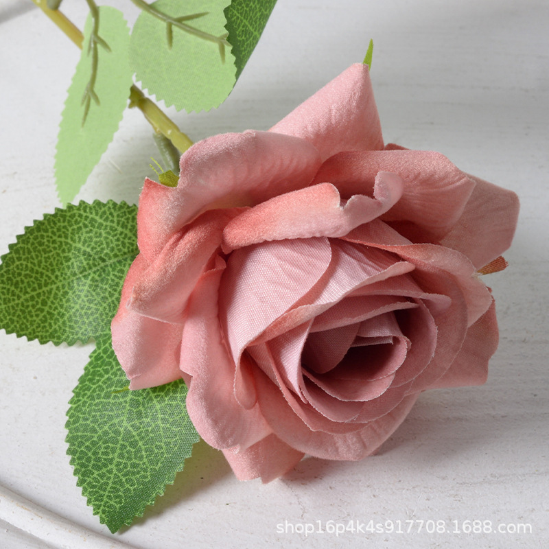 Aisha rosa pasta de frijoles