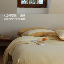 A类超柔针织棉100%全棉四件套秋冬简约纯棉被套床单款三件套床品