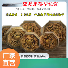 չʾCxݙnڵ߶xĲģк՘ƷYƤ|