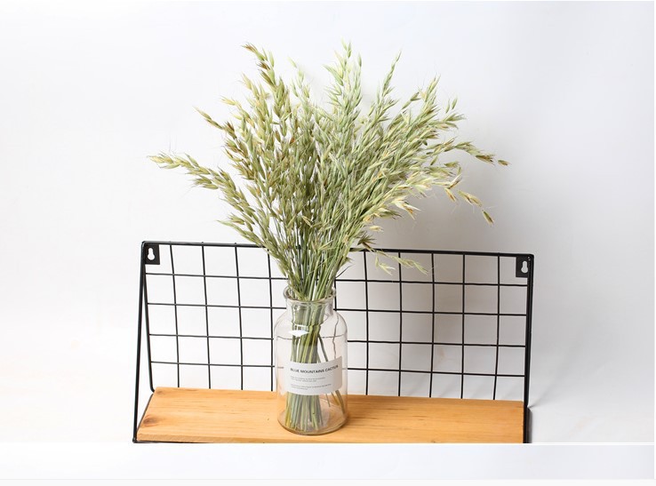 녹색 귀리 50 스틱