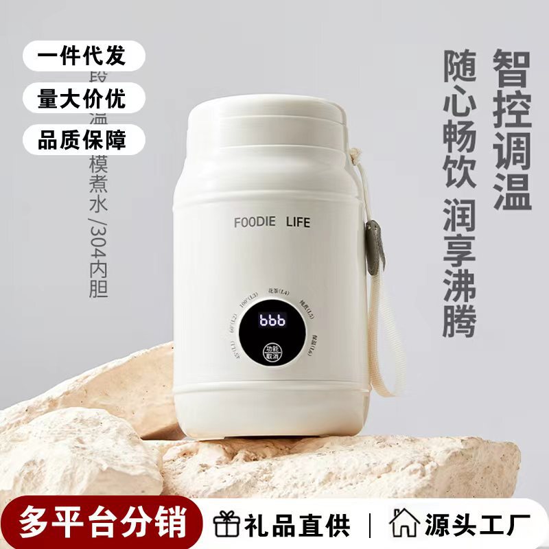 Portable Electric Hot Water Cup, Mini Small Travel Kettle, Intelligent Constant Temperature Automatic Health Cup for One Person