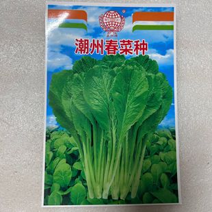 �����Ƴ��ݴ��˷N�߮a�~�˲ˈ@Ժ�ӷNֲ�߲˷N��������l�S��ֱ�N