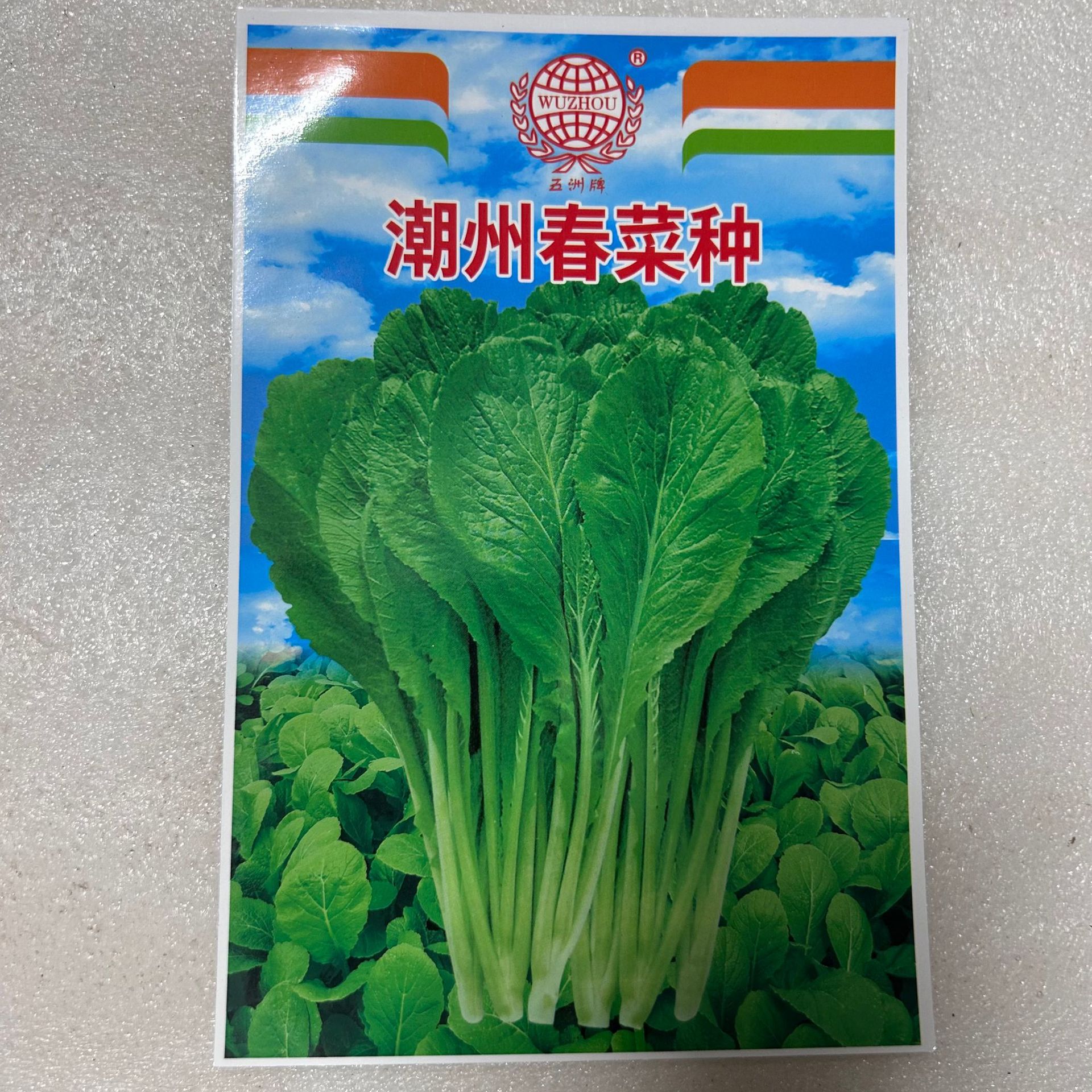 五洲牌潮州春菜种高产叶菜菜园院子种植蔬菜种子电商批发厂家直销