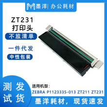 P1123335-013 适用斑马Zebra ZT211 ZT231 标签机条码打印头