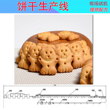 青海海南興海餅干生產機器    dl400全自動餅干設備