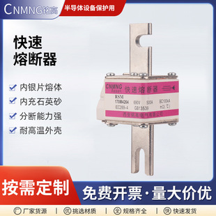 RSM series fast fuse square tube knife type fast fuse for semiconductor equipment protection wholesale