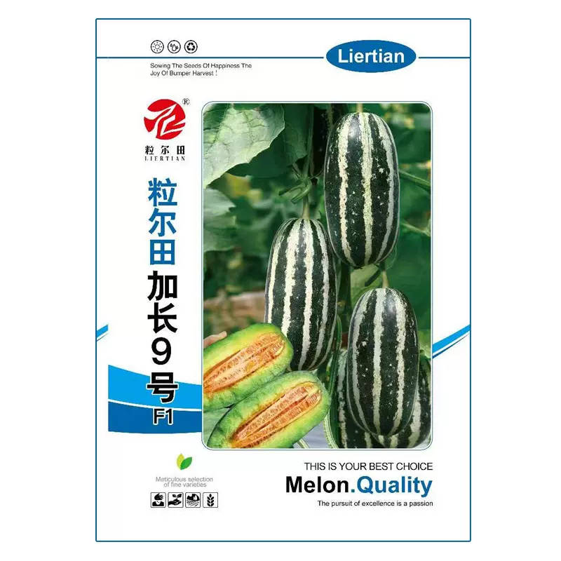 粒尔田9号甜瓜种子 博洋9号薄皮甜瓜种籽 香瓜种子春秋大棚用种