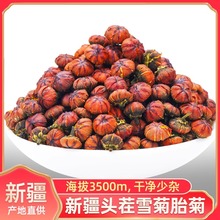 �½���������ѩ��̥����ɽѪ�ջ���ѩ�����B��������ˮ�ٷ���Ş��