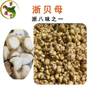 ���ζ֮һ�㽭����ș����ؐĸ������Ԫ�����g�����ȽM��ș�����l