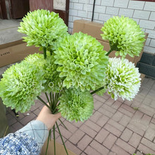 �¿����䳲�� ��֧�R��C�����ѹ�Ӣ��c�廨�c�Y�b����[��