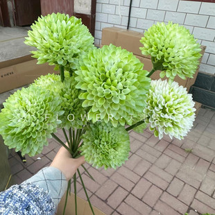 �¿����䳲�� ��֧�R��C�����ѹ�Ӣ��c�廨�c�Y�b����[��