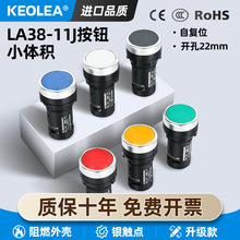 KEOLEA ���o�_�P�ԏ�λ 22mm�c��ƽ�o�_�P�tƽ�^С�͆����Դ����