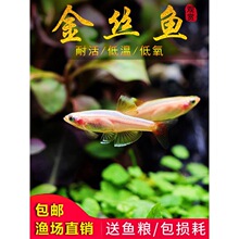 ��녽�z�~��ˮ���wС��ԭ���~���~���Ӝ��^�p�ͻ�tβ���ư���