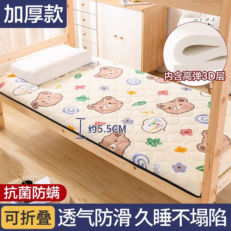 쿠키베어 [두꺼운 항균, 진드기 방지] 5.5cm