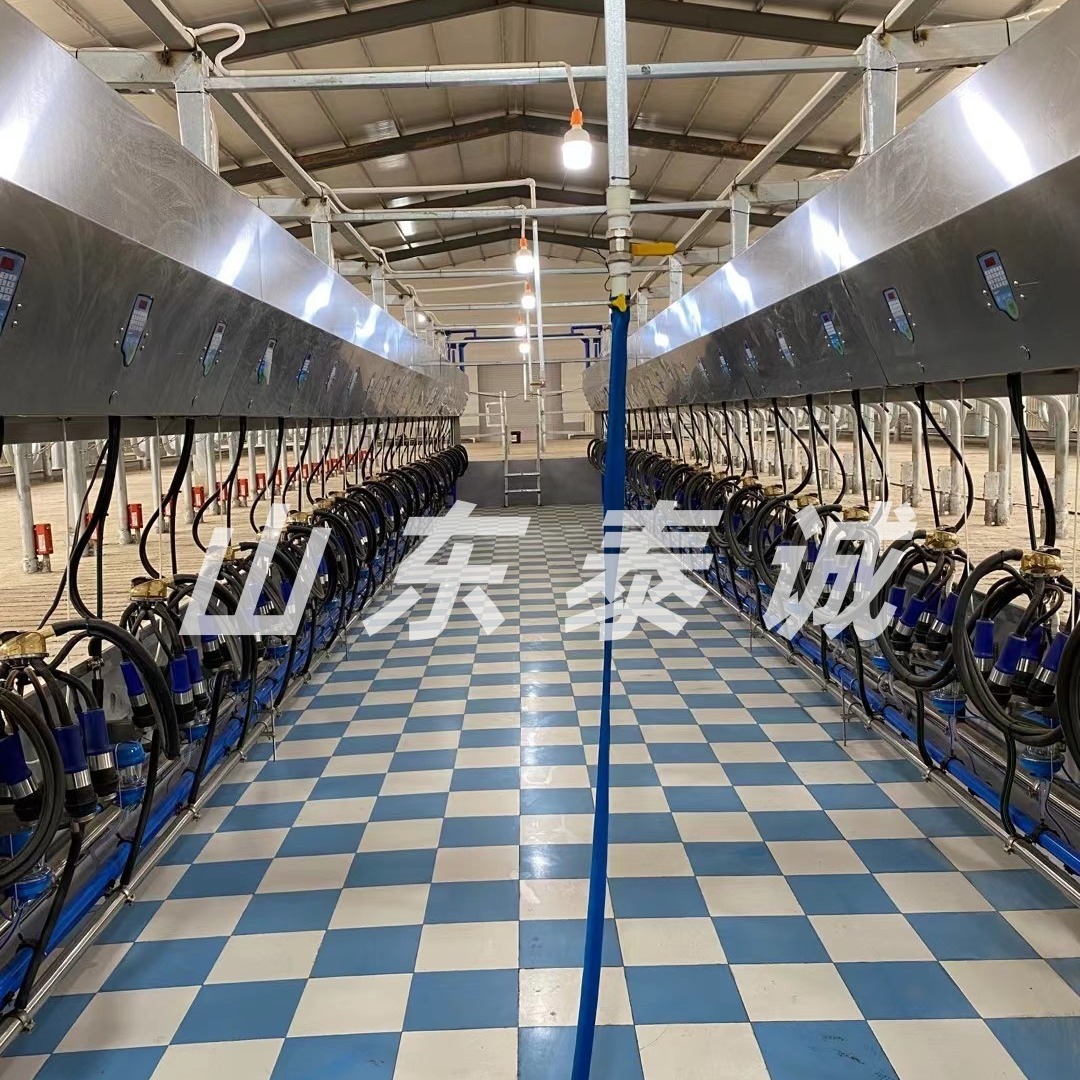 奶山羊鱼骨式计量瓶挤奶厅挤奶厅设备（本店铺产品需详询后下单）