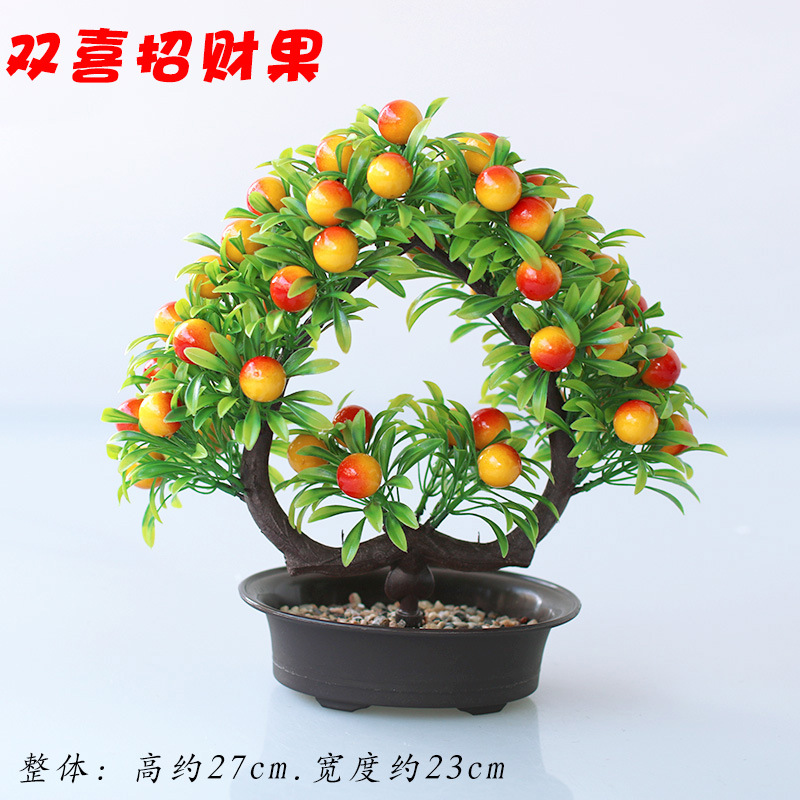 石盆夕红果