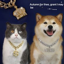 ���Q����M荹Ű��朿��{����Ԫ�ʹ�KING�����Ȧ��������؈����