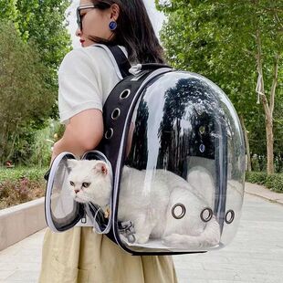 New All-In-One Pet Backpack Panoramic Space Capsule Cat Backpack Portable Transparent Cat Outing Box for Outings