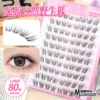 【Big Ten Rows Glue Free】Wild Fox