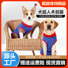 跨境爆款全包围狗狗绝育服宠物用品防舔高弹性透气狗衣服术后服