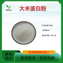 大米蛋白粉95% 大米水解蛋白  莱森特生物大米水溶粉 大米蛋白粉