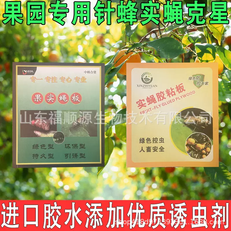 针蜂贴瓜果实蝇粘虫板果树果园诱捕诱蝇柑橘粘虫板引诱剂信息素