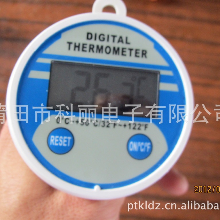 外观游泳池水温度测试仪 浮水温度计 泳池温度计