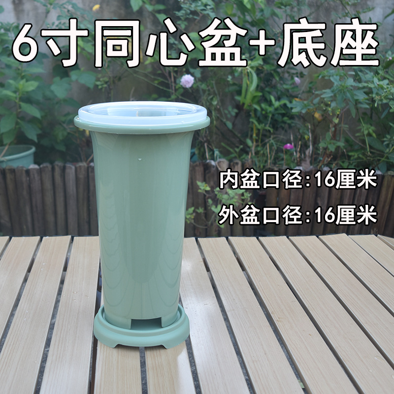 녹색 동심 화분 세트 6inch + 받침대